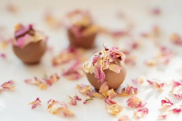 Coin365Bet Kasino Apl Android/iOS